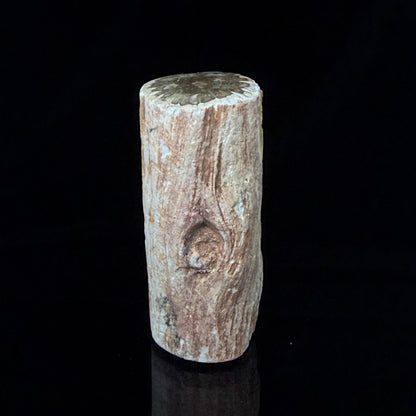 Petrified Wood