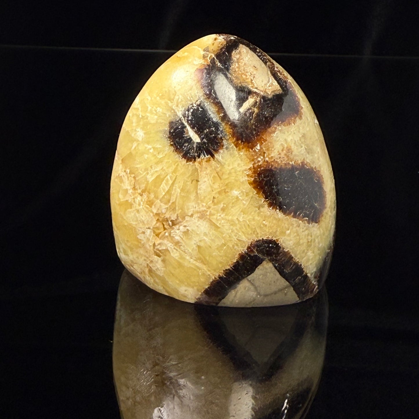 Septarian Nodule Freeform