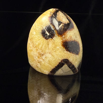 Septarian Nodule Freeform