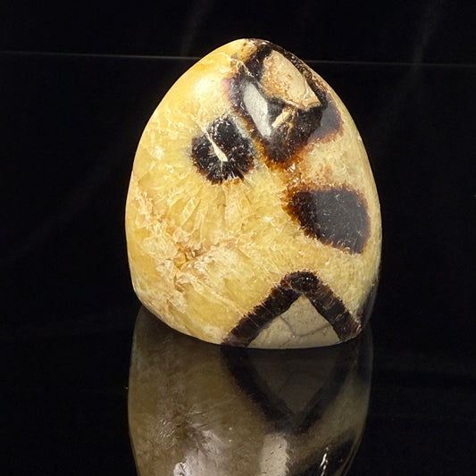 Septarian Nodule Freeform