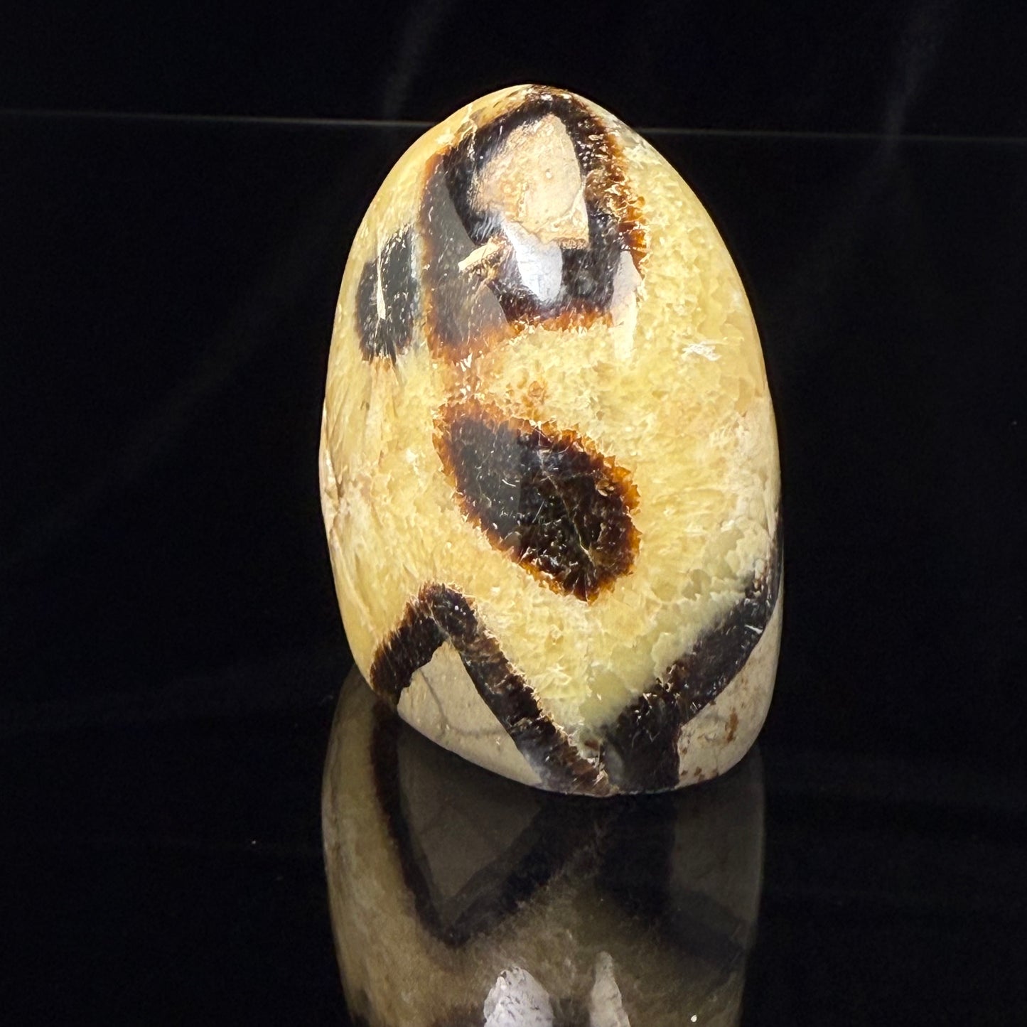 Septarian Nodule Freeform