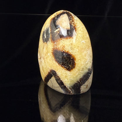Septarian Nodule Freeform