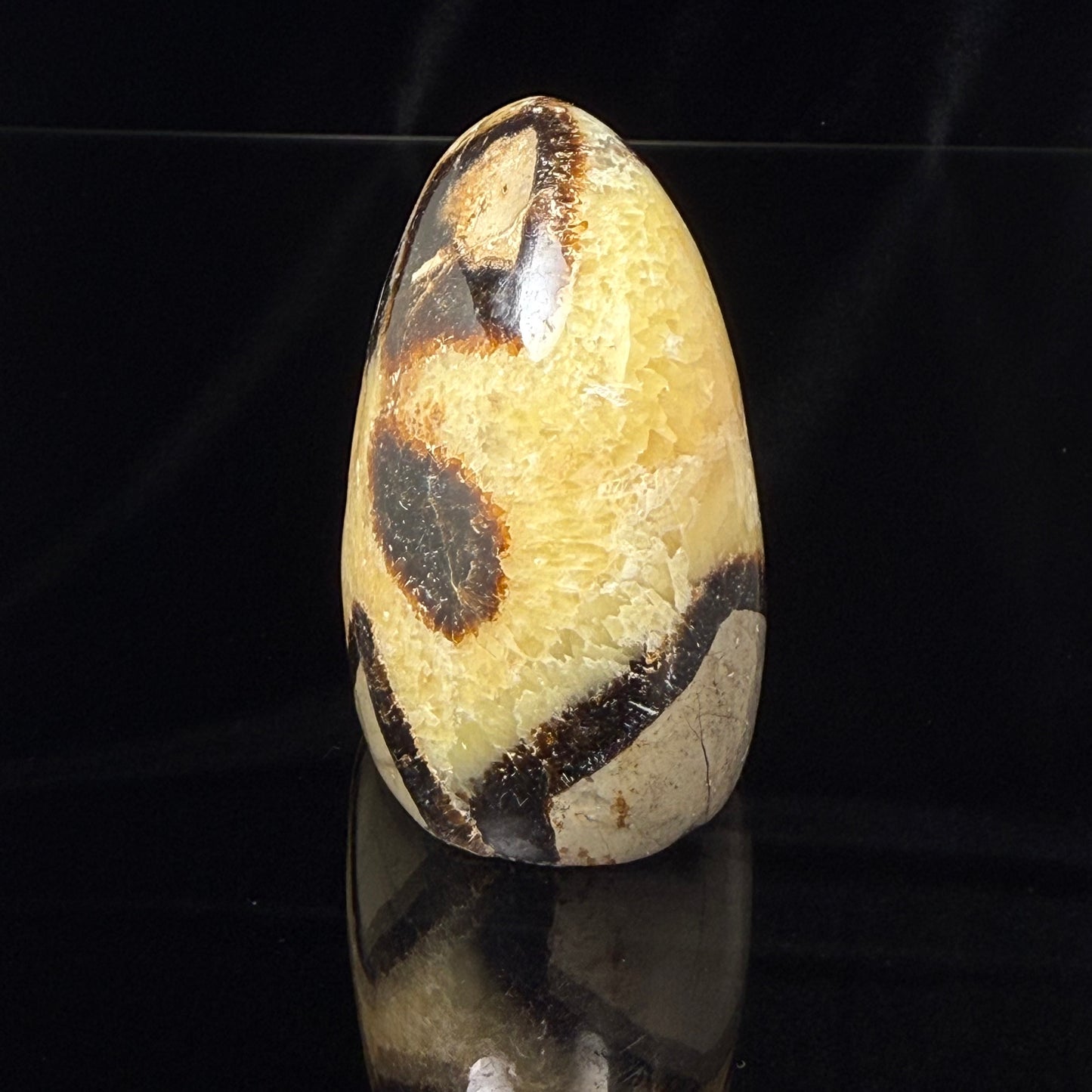 Septarian Nodule Freeform