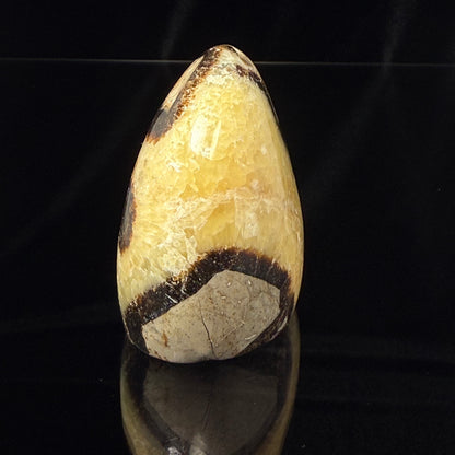 Septarian Nodule Freeform