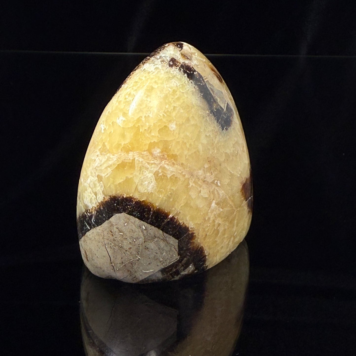 Septarian Nodule Freeform
