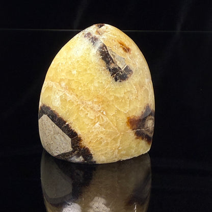 Septarian Nodule Freeform