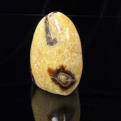 Septarian Nodule Freeform