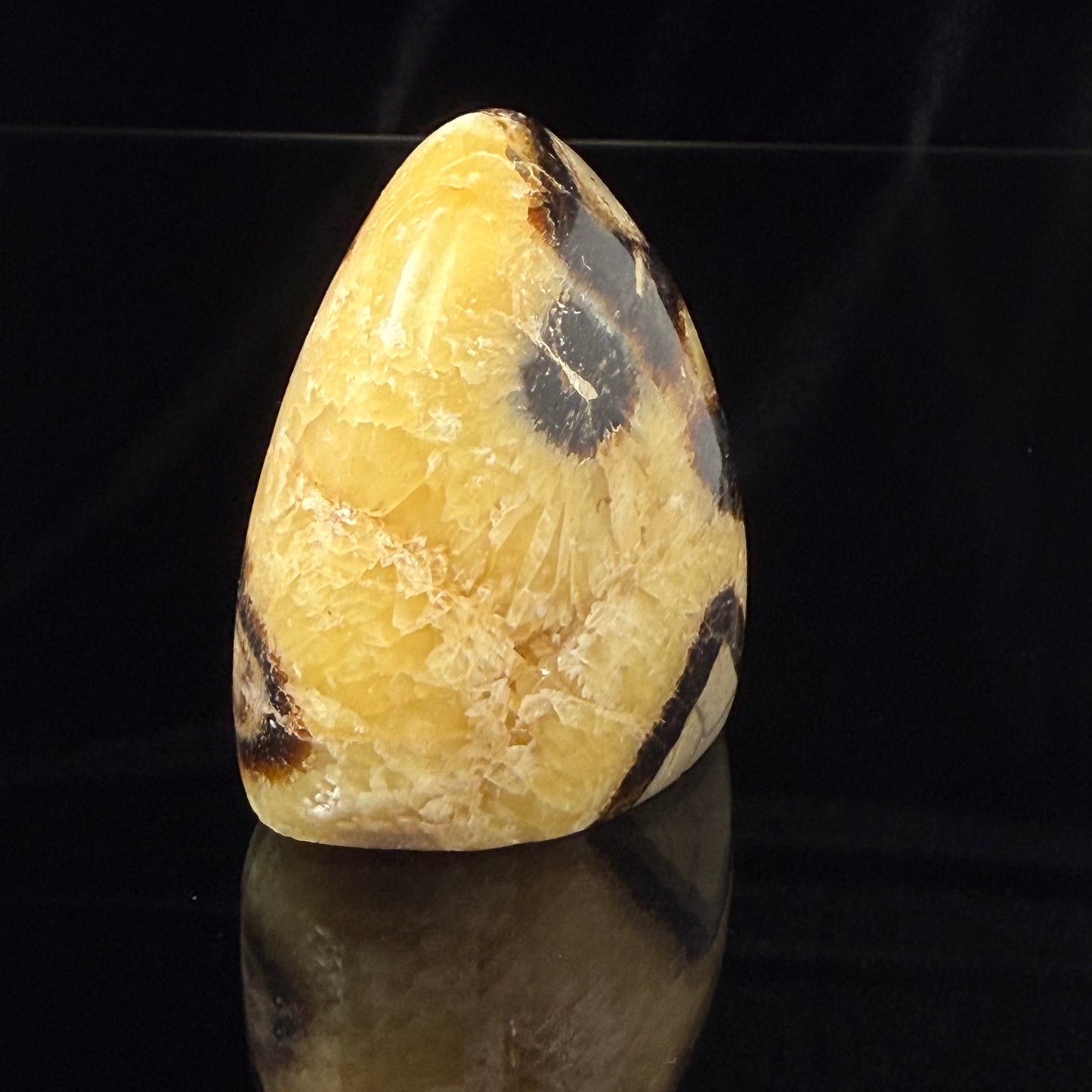 Septarian Nodule Freeform