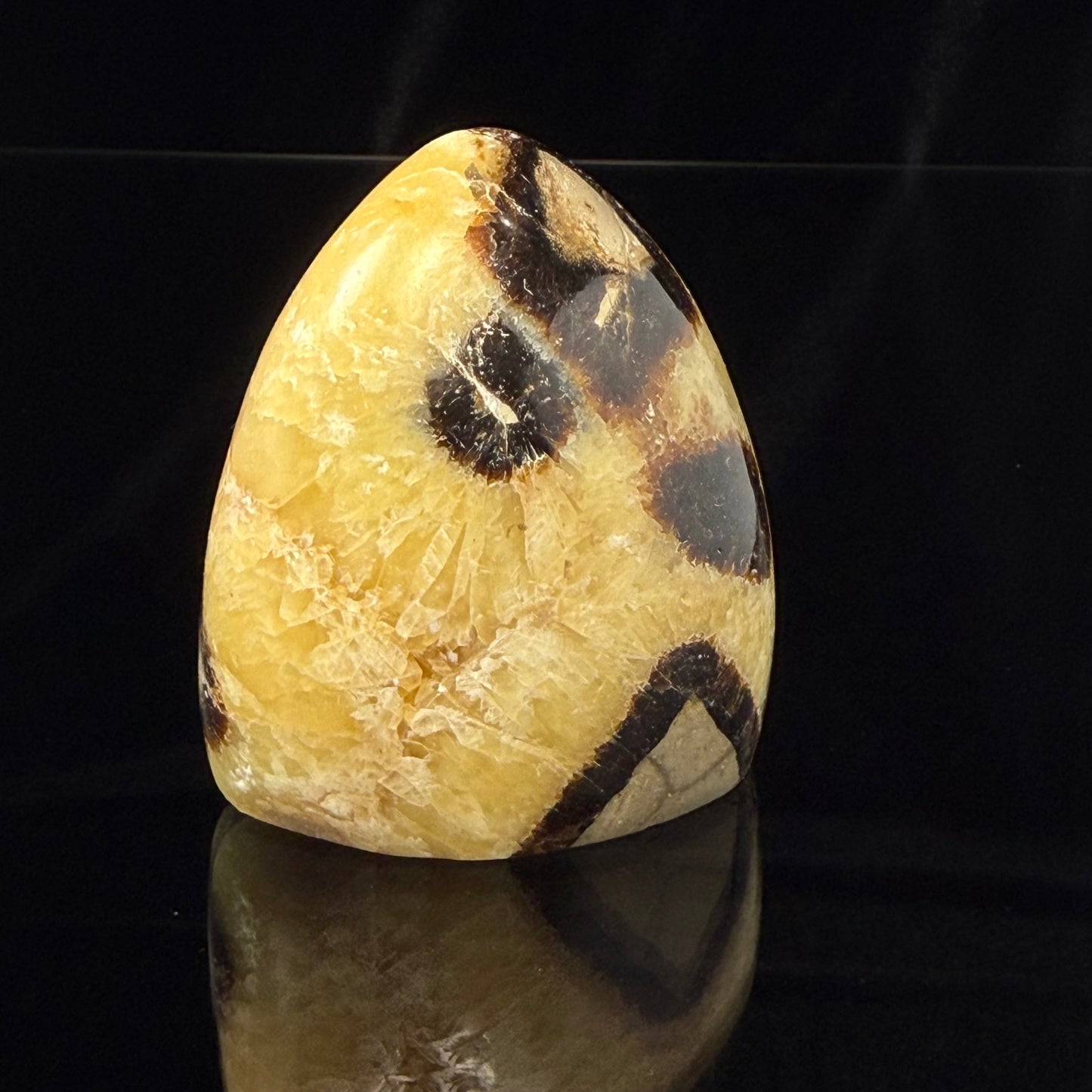 Septarian Nodule Freeform