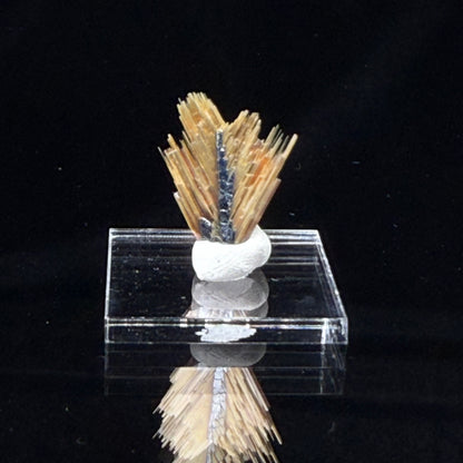 Golden Rutile with Hematite
