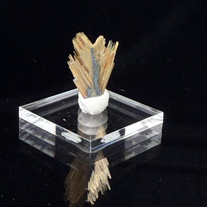 Golden Rutile with Hematite