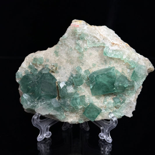 Fluorite Plate